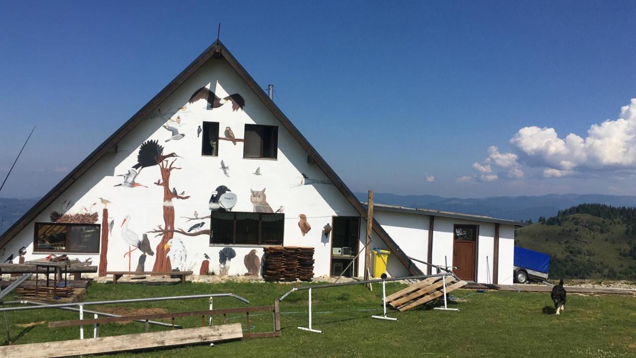 Birdshouse Parang Petroşani Exterior foto